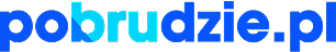 Logo firmy po brudzie